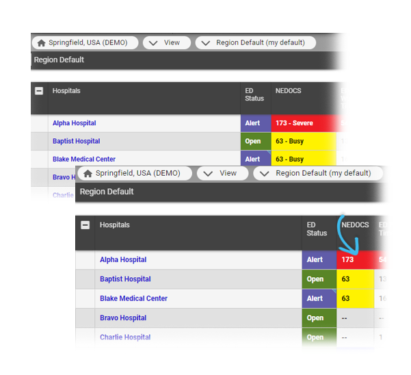 EMResource Status Type Format NEDOCS Labels Display Default Example